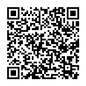 直接进入到了刘星大脑之中的一个奇异特殊还未点燃的明点区域之中二维码生成