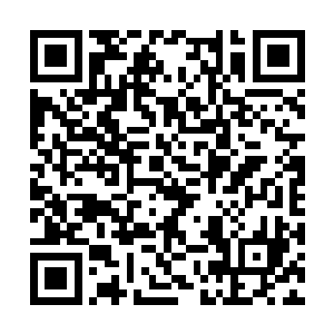 直接逃跑得了……我留在这儿整个儿就是一累赘啊二维码生成