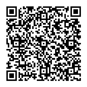 直接造成了这些经济大省同时也是用电大省但是却又是能源穷省的几个省市不得不面临尴尬的拉闸限电二维码生成