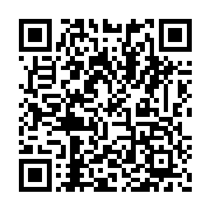 直接避过紫涟漪的妖娆模样目光落在无韧剑上面二维码生成