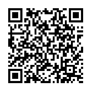 直播间才刚恢复如常一有人带头马上又是满屏的飞天猫了二维码生成