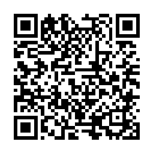 直等守在过道上的侍卫上前驱赶才踉踉跄跄的离开二维码生成