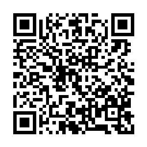 直系一脉内部跟直系旁系之争都是两大矛盾核心二维码生成