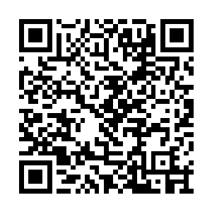 直至下午花毓才一脸容光焕发的带着褚璇玑前来二维码生成