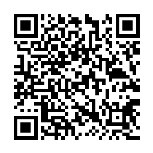 直至将弥漫在整座比武擂台上的蓝色雾气全部打散二维码生成