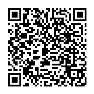 直至整个东海外海的各方势力都派遣生死境大能前往靠近死亡之海的边缘之地二维码生成