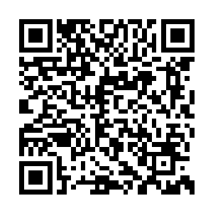 直至那天周允晟在暗巷里的一通大骂才让他明白二维码生成