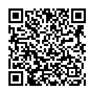 直言不讳的把自己家族传承说成了半吊子的魔功二维码生成