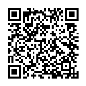直起身子刚一转头就看到晏晨把手举得高高地空中自我欣赏二维码生成