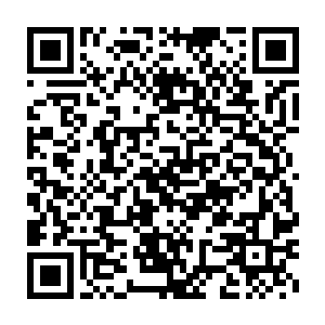 相互依偎着站在窗边望着外面的景色――内心里感受到了无比的宁静二维码生成