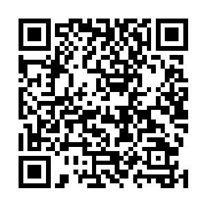 相信也多少会冲淡皇家马德里会员们对荣光来不了的不满二维码生成