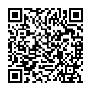 相信今天晚上纳兰香香和楚云天俩人都不会闲着二维码生成