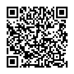 相信他撑不过二十四小时就会把自己做过的丑事竹筒倒豆子二维码生成