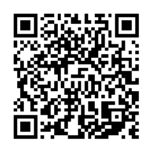 相信任何想要闯入这里的人第一时间就会被打成马蜂窝的二维码生成