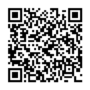 相信你在不久之后必然会成为一名超越圣帝境界的强者二维码生成