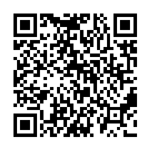 相信你应该知道周天宇宙并非这天地间的唯一存在吧二维码生成