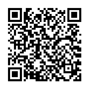 相信你没有在池早早忌日的时候和她妹妹在墓地接吻二维码生成