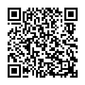 相信到了修真界之后你们的修为肯定会更上一层楼的二维码生成