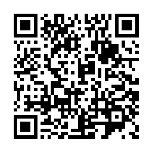 相信叶家终究会承认公子的身份来历……而现在二维码生成