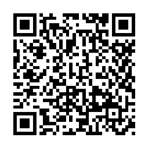 相信如今就没有他林辰站在如今的剑宗主殿门口二维码生成
