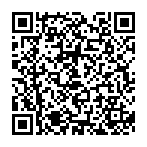 相信如果你真的拍摄黑客帝国这种极度需要掌控力与画面表现力的电影二维码生成