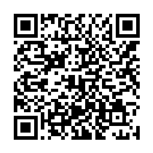 相信威海帮的一众长老们都或多或少会有修为上的突破二维码生成
