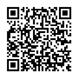 相信杨戬等人和四个魁梧大汉之间的争执已经传进李家二维码生成