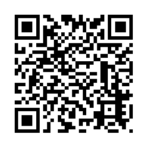 相信杨风肯定会为我们杨家争光的二维码生成