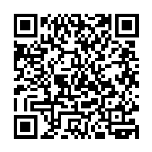 相信过不了多久这两个人就能够成为半步先天仙丹师二维码生成