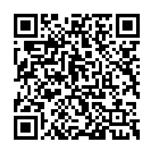 相信这支让人胆寒的势力一定不会就这么垮掉的二维码生成