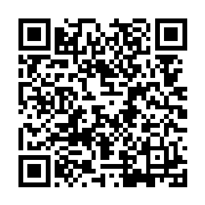 相信那些公门修行半辈子的老油条其实也心知肚明二维码生成