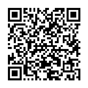 相信露易丝也不会轻易透露自己身怀水晶雕像这件事的二维码生成
