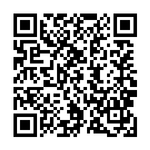 相信龙老师会给这个可恶的棒子国的家伙狠狠地上一节课二维码生成