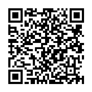 相反他对于艾莉娜最终还是认出了他感到由衷的开心和骄傲二维码生成