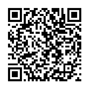 相反有时候他们都在怀疑自己等人是不是她们的前辈二维码生成