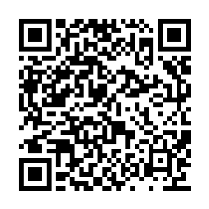 相反的如同猫戏老鼠一样在后面不紧不慢的跟着二维码生成