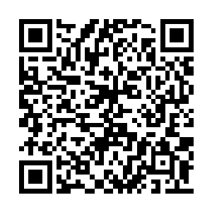 相反还有可能对自己的这种态度而不一样的观感二维码生成