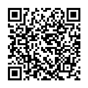 相反雨果为文森特这个角色注入了许多属于自己的特色二维码生成