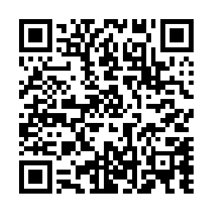 相处的久了他却觉得夏天祁除了脾气大了点其实哪里都很好二维码生成
