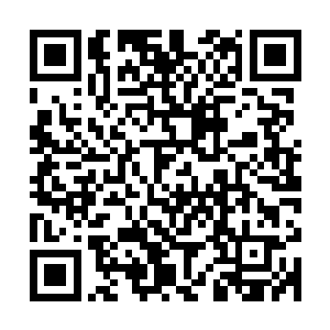 相对于这些功法来说龙傲天更加在意那几本介绍其他东西的书籍二维码生成