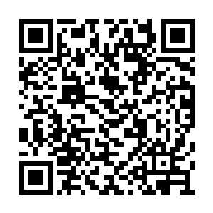 相对他们的门派里要召集修士可能需要游说一番二维码生成