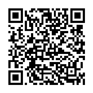 相对你这样虎踞多元宇宙中央的准神级文明而言二维码生成