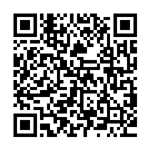 相对少的投票人数以及来自缺乏影响力的海外娱乐媒体的事实二维码生成