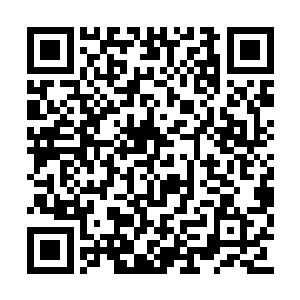 相当于叶叮当是用自己的生命换取了唐铮的生命二维码生成