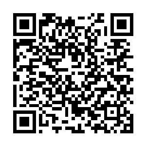 相比他们之前已经觉得挺满意的五千欧元月薪陡增几倍二维码生成