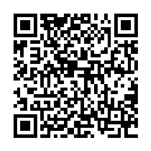 相比族里的其他几位少爷从小便有安排私塾老师上门教学二维码生成