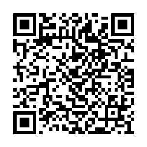 相比末世到来之前就被各种因素剥夺了生命的人二维码生成