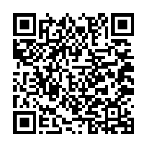 相比起华夏九第一次炼丹时魂识凝聚的鲤鱼和飞鸟二维码生成