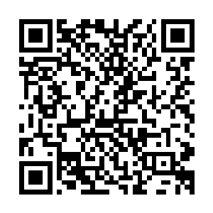 相貌也算帅气的年轻人就是经理提起要转到人力资源部的保镖二维码生成