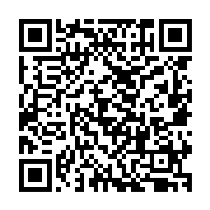 盼望地看着那一头――好几个人簇拥着一张熟脸往办公室前进二维码生成